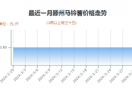 新薯上货增加 价格行情持稳 ()