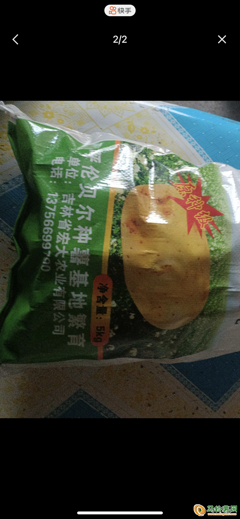 求购高产量土豆原种 ()