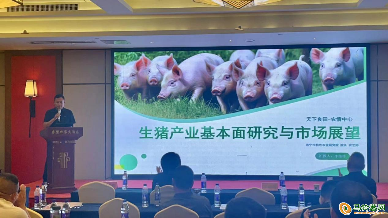 图片10