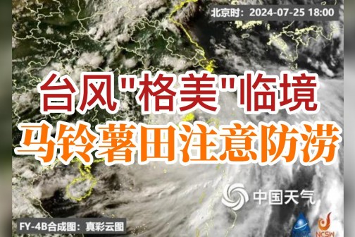 台风“格美”临境，马铃薯田注意防涝