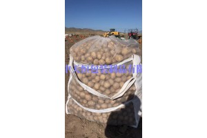 种薯吨袋土豆种植发芽用吨包袋透气通风防腐烂
