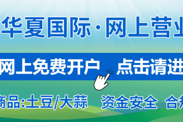 从数据透视蒜片市场：出口热与风险并存的2025 ()